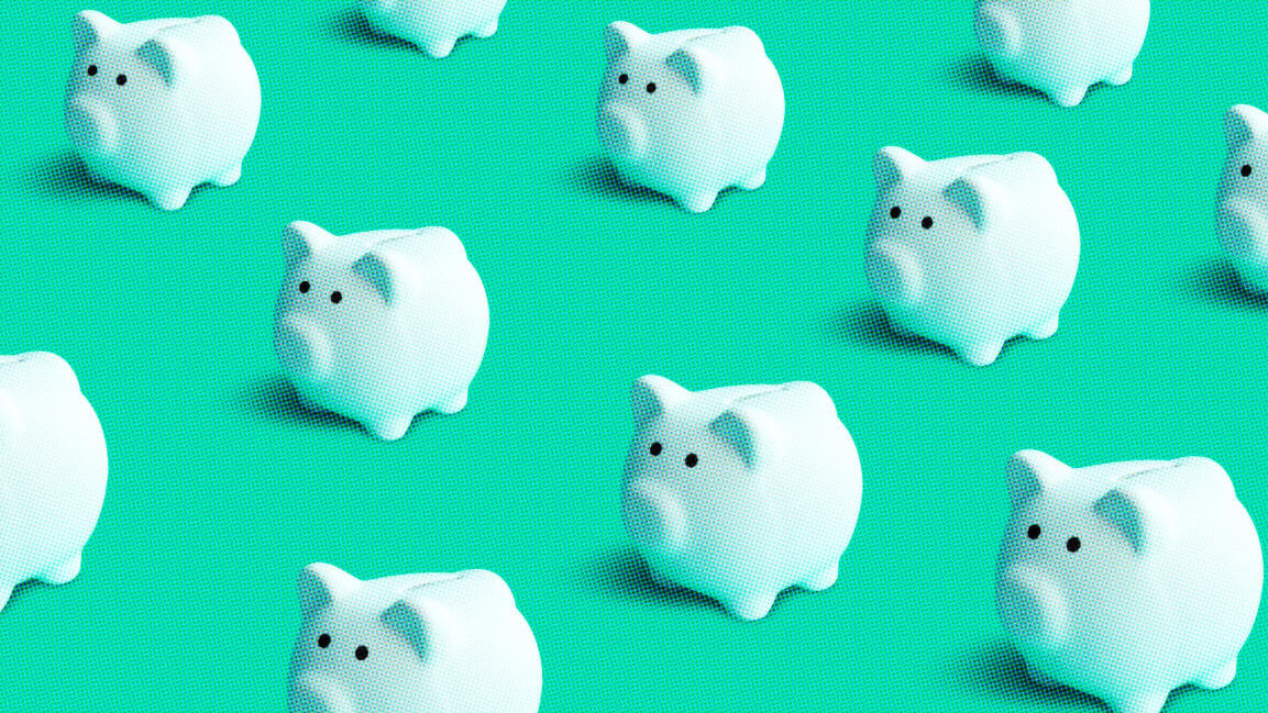 pigs