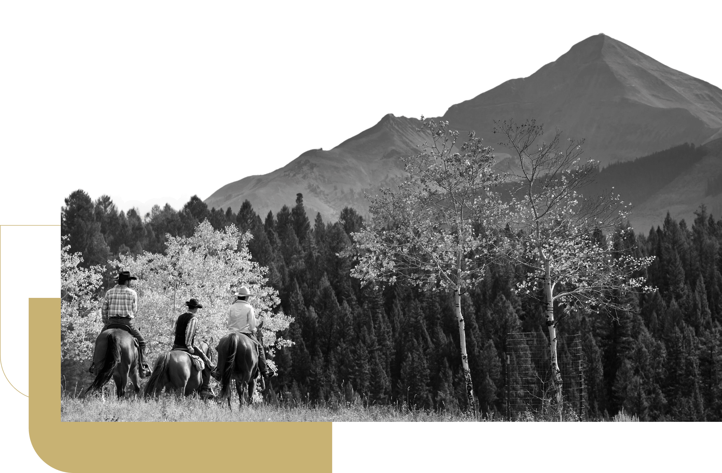 mountains