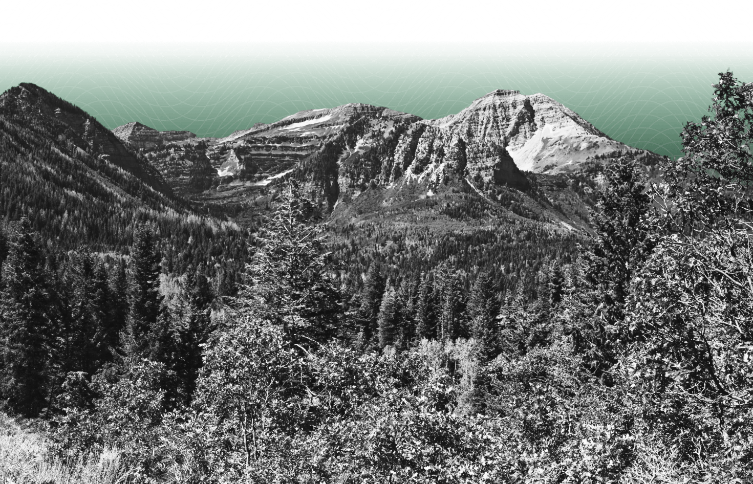 mountain bg